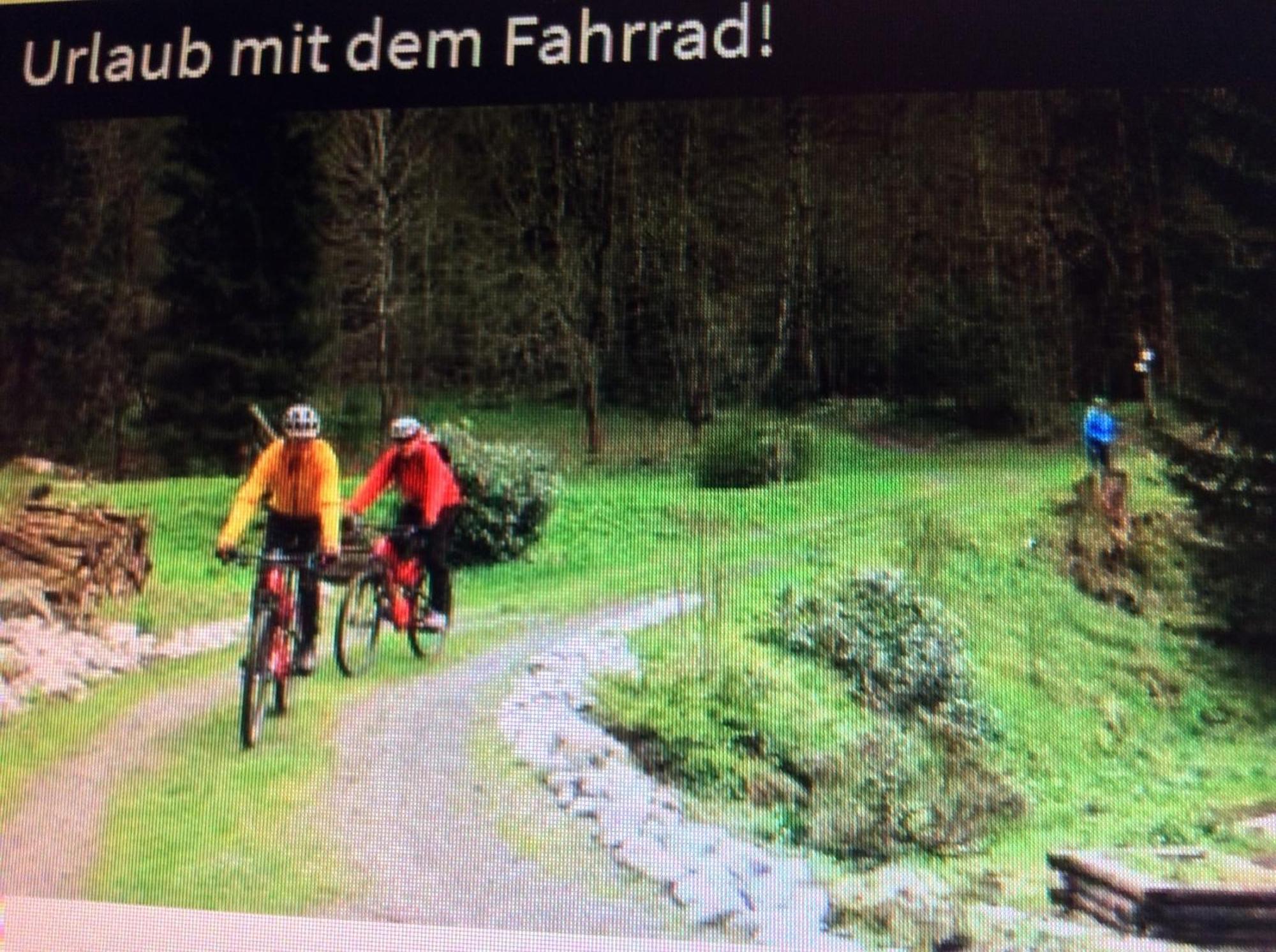 Fewo Romy Braunlage Kültér fotó
