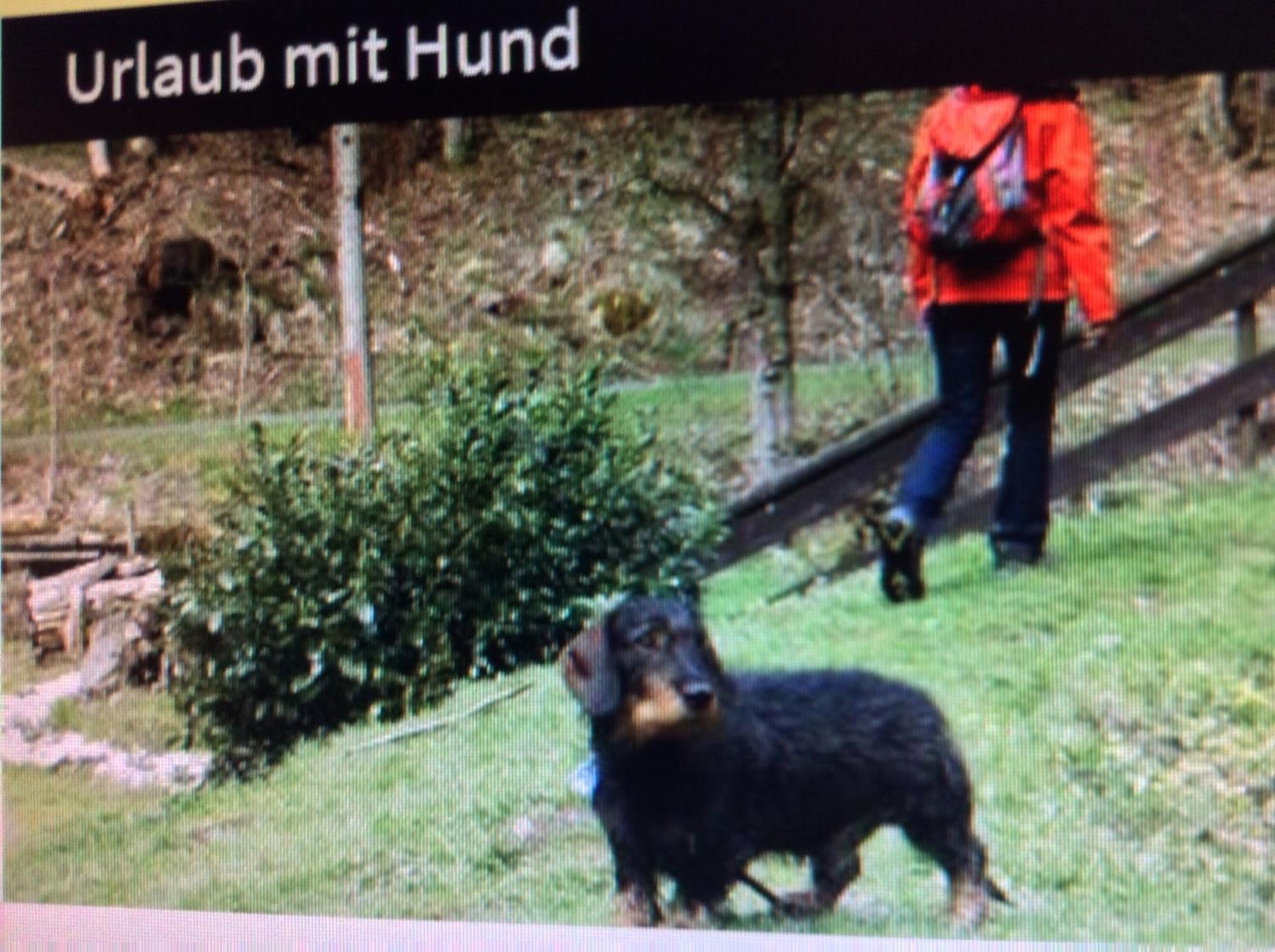 Fewo Romy Braunlage Kültér fotó